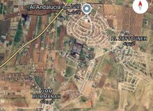 Farm Land for Sale in Amman Um Rummanah