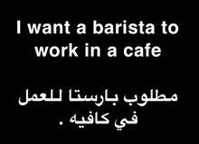 مطلوب باريستا مطلوب باريستا