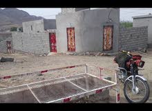 بيت للبيع في محافظه حجه مدينه عبس بيت للبيع في محافظه حجه مدينه عبس