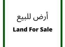 أرض للبيع في شارع الأردن منطقة موبص / ref 390