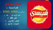 فرصة عمل فرصة عمل