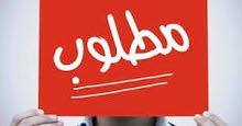 محتاج خلفه بناء بلوك محتاج خلفه بناء بلوك