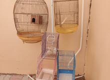 Bird cages for sale / اقفاص الطيور للبيع