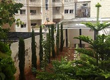 80m2 1 Bedroom Apartments for Rent in Amman Daheit Al Rasheed