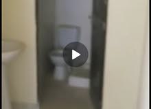 شقة معروضة للإيجار كمخزن في مجمع العودة بسوبا شقة معروضة للإيجار كمخزن في مجمع العودة بسوبا
