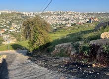 Residential Land for Sale in Amman Badr Jdedeh