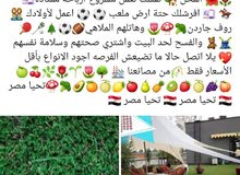 مشروع مربح جداااااا يكسبك فوق ما تتصور ومريح للعين والقلب مشروع مربح جداااااا يكسبك فوق ما تتصور ومريح للعين والقلب