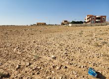 قطعة ارض سكنية في ارينبة الغربية مخدومة بالكامل بمقربة من مدرسة بسعر مغري للبيع