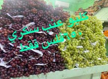 شركه القمه شركه القمه