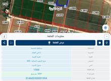 Farm Land for Sale in Amman Al-Dhuheibah Al-Gharbiyah