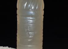 لاقبي بكراري لاقبي بكراري