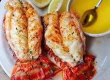 معلم اسماك يبحث عن عمل خبره 20 عام معلم اسماك يبحث عن عمل خبره 20 عام