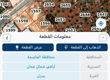 Residential Land for Sale in Amman Shafa Badran