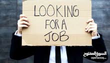 job seeker job seeker