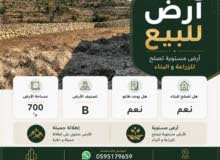 Mixed Use Land for Sale in Hebron Beit Ummar
