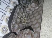 نضيفات نضيفات
