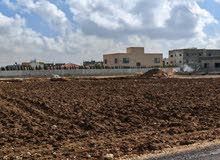 Residential Land for Sale in Amman Naour