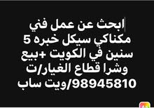 فني مكناكي س فني مكناكي س
