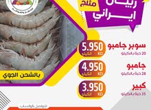 ربيان مثلج ايراني ربيان مثلج ايراني