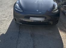 Tesla Model Y Standard Range in Amman