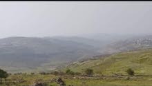 Mixed Use Land for Sale in Nablus Tal Village