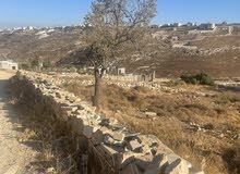 Residential Land for Sale in Bethlehem Abu Nujaym
