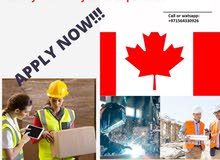 FRUIT PACKERS, WAREHOUSE WORKERS, MACHINE OPERATORS NEEDED IN CANADA AND POLAND URGENTLY!