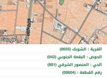 اراضي للبيع قطعة ارض للبيع قوشان اراضي استثمارية معان