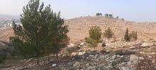 Residential Land for Sale in Hebron Dura