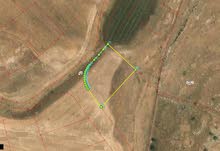 Residential Land for Sale in Irbid Kitim