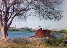 ابحث عن عمل ابحث عن عمل