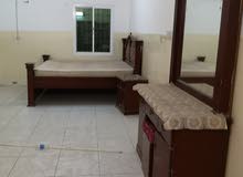 مشاركه سكن للايجار مشاركه سكن للايجار