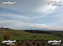 Farm Land for Sale in Mafraq Rhab