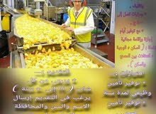 بحث عن عمال إنتاج لمصانع المواد الغذائية في العاشر من رمضان بحث عن عمال إنتاج لمصانع المواد الغذائية في العاشر من رمضان