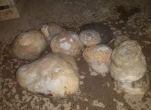 احجار طبيعية من جبال ليبيا احجار طبيعية من جبال ليبيا