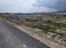 Residential Land for Sale in Jericho Al-Auja