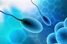 خلطة من الأعشاب لعلاج العقم نهائيا عند الرجال خلطة من الأعشاب لعلاج العقم نهائيا عند الرجال