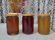عسل الغربية الاصلي مع الضمان عسل الغربية الاصلي مع الضمان