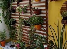 خشب باركيه للحدائق. وديكورات جدران غرف خشب باركيه للحدائق. وديكورات جدران غرف