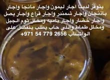 عدة انواع من الاجار عدة انواع من الاجار