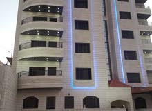 شقه ارضيه قرب معاها ترس وبرندتين قرب دوار الدبابه باتجاه جامعه العلوم الإسلامية شقه ارضيه قرب معاها ترس وبرندتين قرب دوار الدبابه باتجاه جامعه العلوم الإسلامية