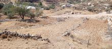 Mixed Use Land for Sale in Bethlehem Beit Fajar