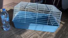 Tortoise Cage for Sale