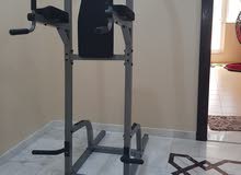 Body solid knee raise pull up bar.