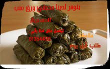 محشي عنب وملفوف محشي عنب وملفوف