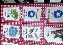 jolly phonics reader jolly phonics reader