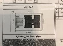 بيع فلا بيع فلا