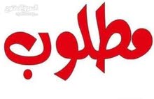 مطلووووب زوج كناري جواهن افراخ بسعر مناسب مطلووووب زوج كناري جواهن افراخ بسعر مناسب