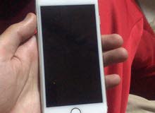 Apple iPhone 7 32 GB in Gharbia