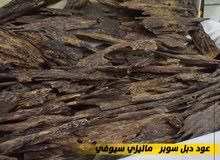 عود البخور المفضل لدى العرب عود دبل سوبر ماليزي سيوفي عود البخور المفضل لدى العرب عود دبل سوبر ماليزي سيوفي